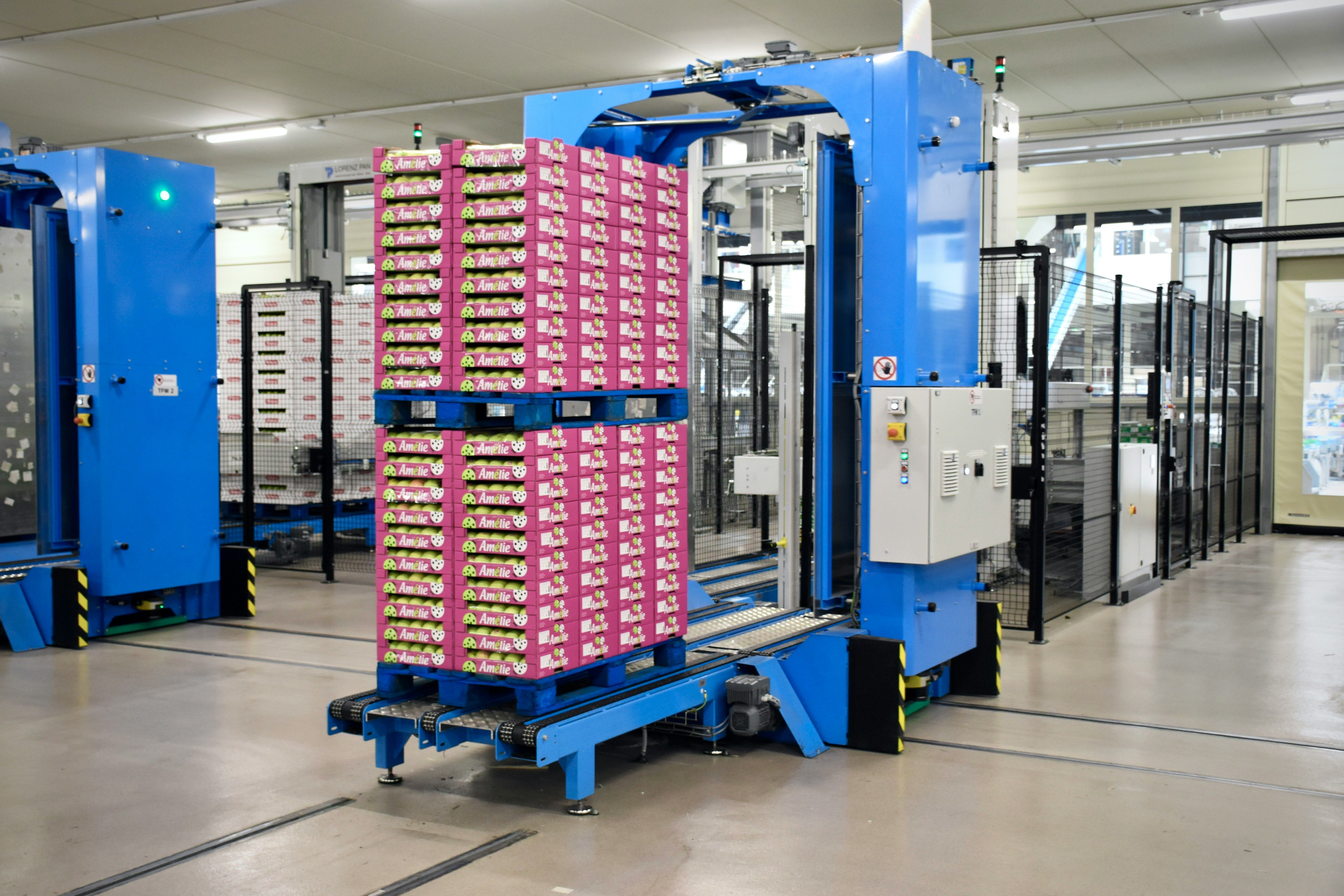 What to Know About Digital Supply Chain Management