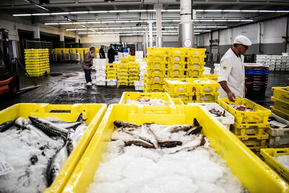Cold Chain 3PL: What Brands Need to Know Before Choosing a Fulfillment Partner